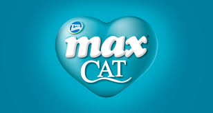 Maxi Cat